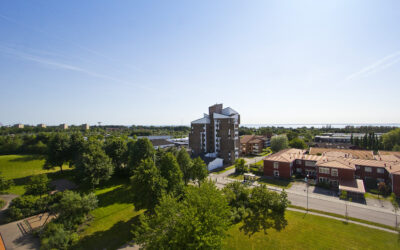 Västra Fäladen